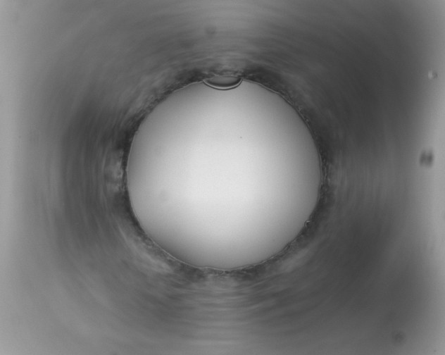 X0000113090818200909182111