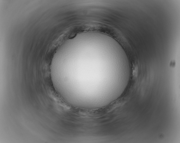 X0000113090819200909182111