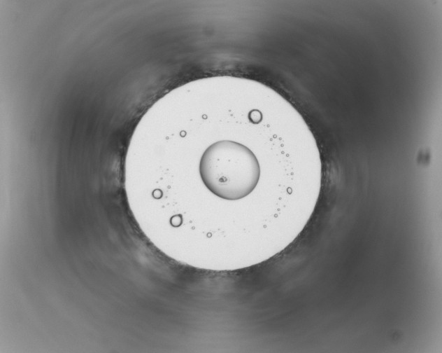 X0000113090820200909182111