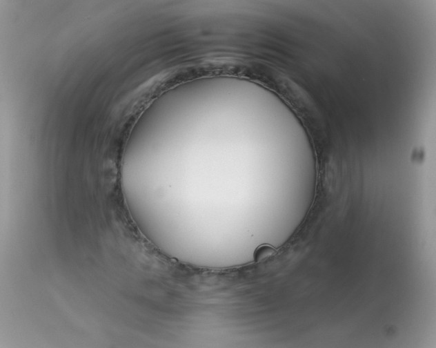 X0000113090821200909182111