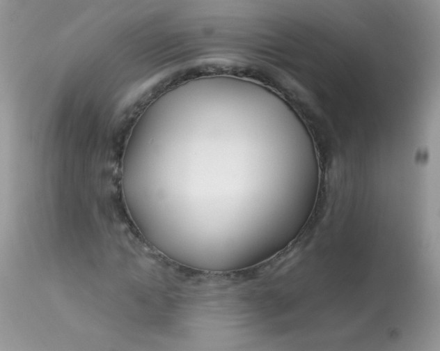 X0000113090822200909182111