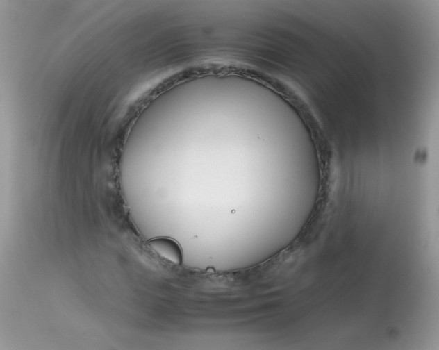 X0000113090823200909182111