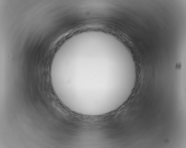 X0000113090824200909182111