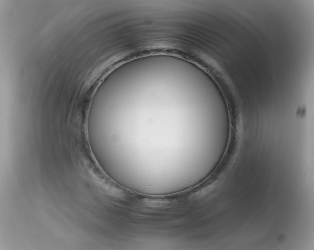 X0000113090825200909182111