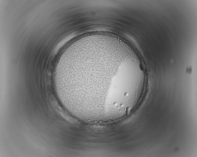 X0000113090827200909182111