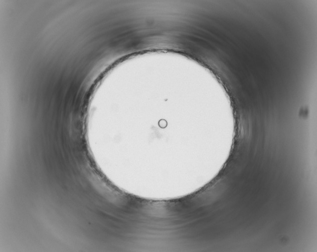 X0000113090828200909182111