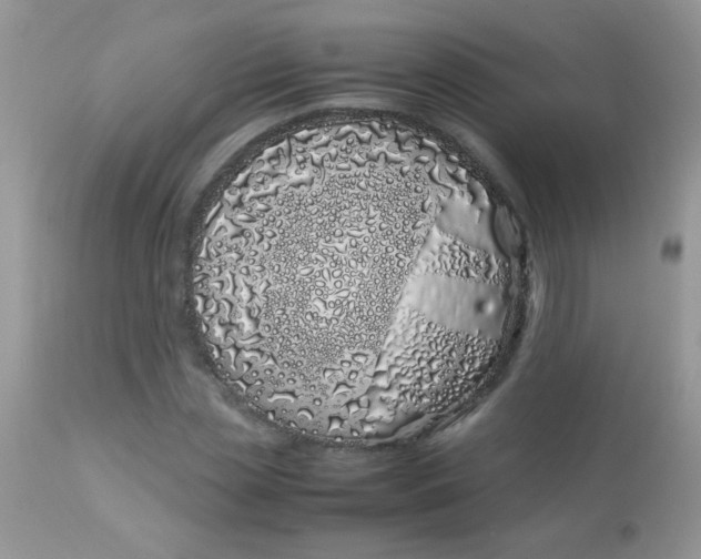 X0000113090829200909182111