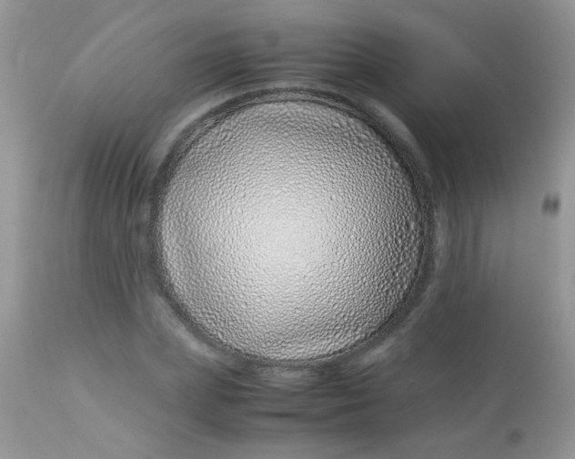 X0000113090831200909182111