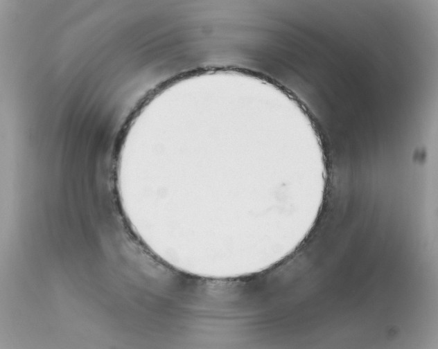 X0000113090832200909182111