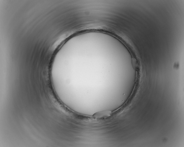 X0000113090834200909182111