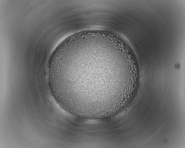 X0000113090835200909182111