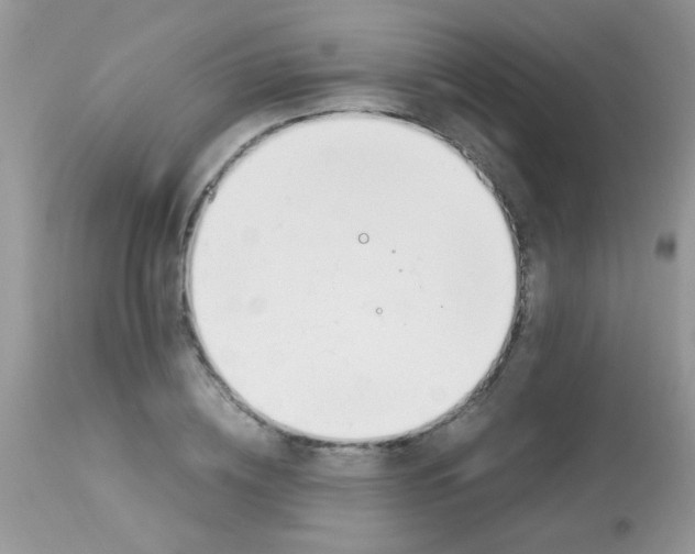 X0000113090836200909182111