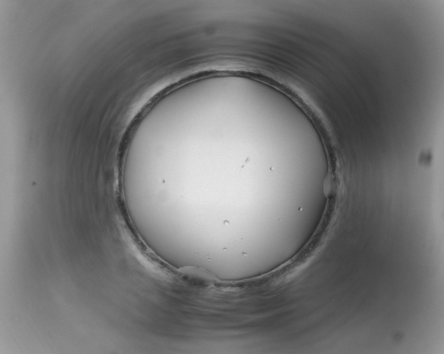 X0000113090837200909182111