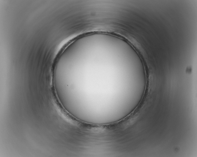 X0000113090838200909182111