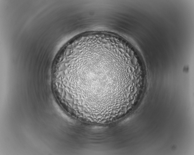 X0000113090839200909182112