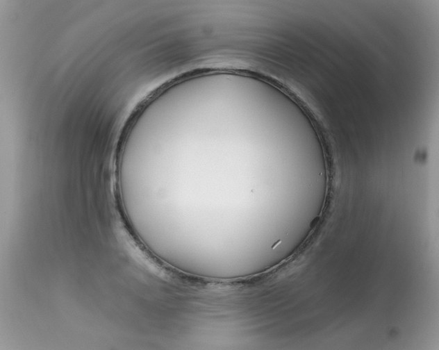 X0000113090840200909182112