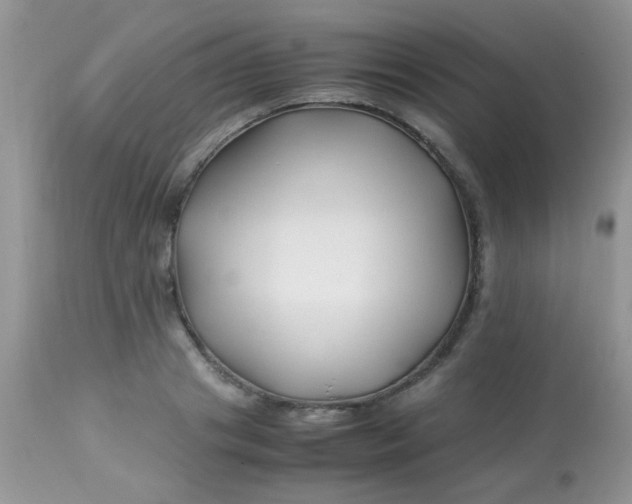 X0000113090841200909182112