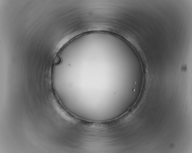 X0000113090842200909182112