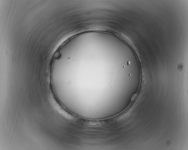 X0000113090843200909182112