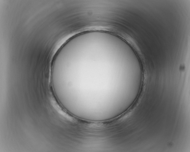 X0000113090844200909182112