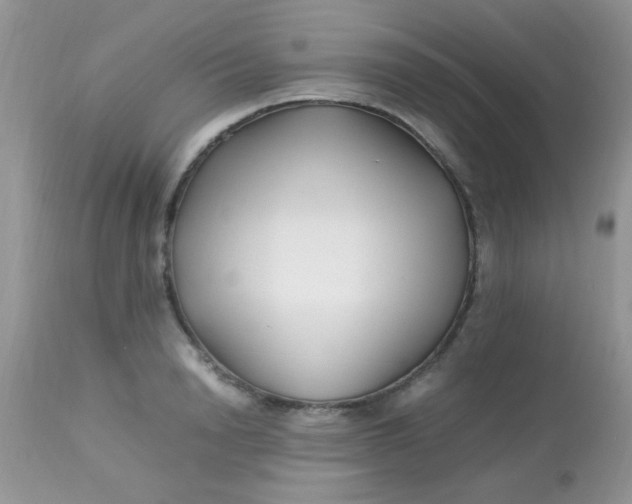 X0000113090846200909182112