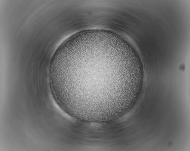 X0000113090847200909182112