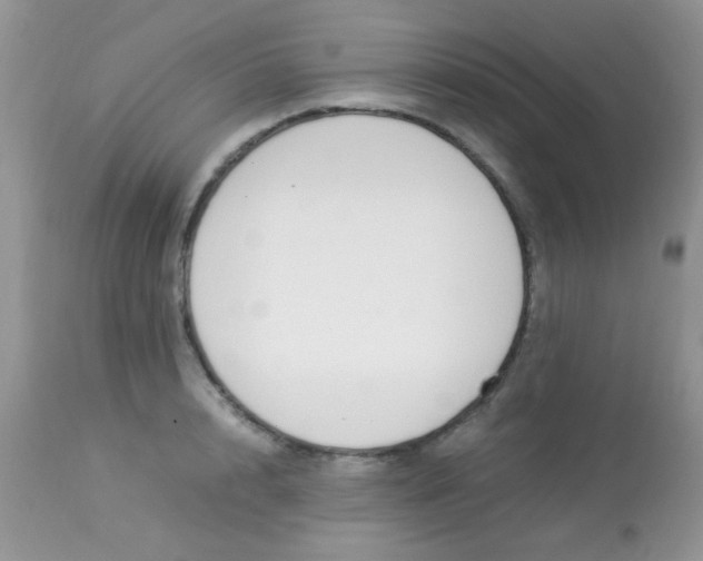 X0000113090848200909182112