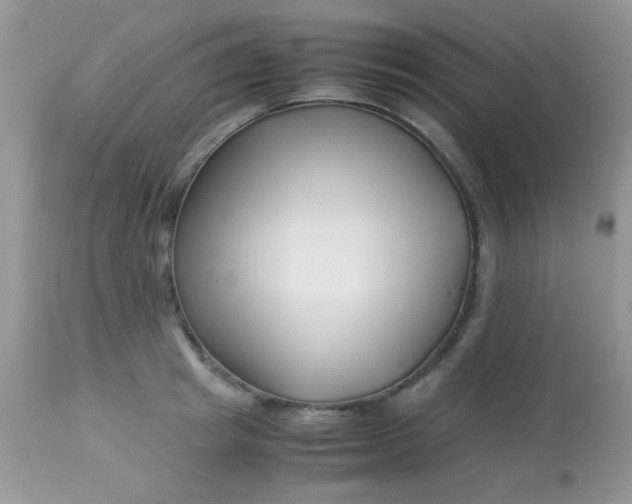 X0000113090849200909182112