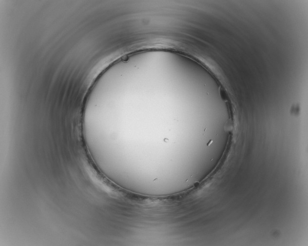 X0000113090850200909182112