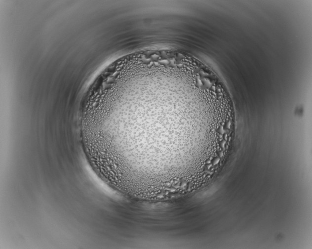 X0000113090851200909182112