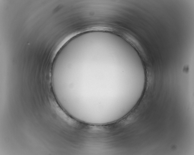 X0000113090852200909182112