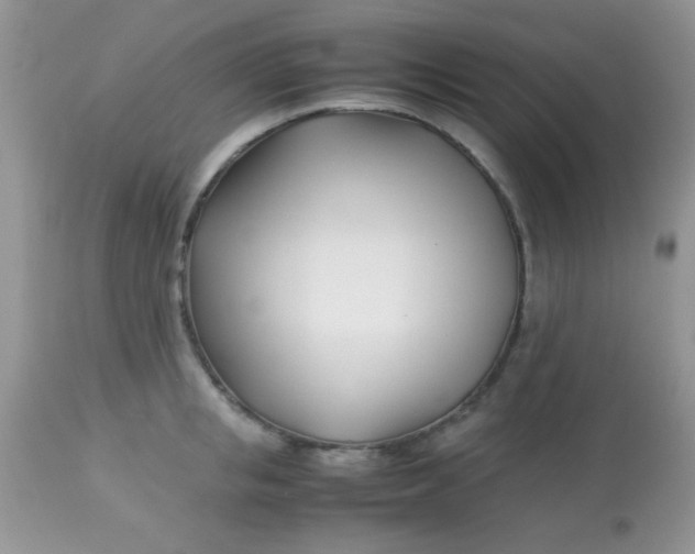 X0000113090853200909182112