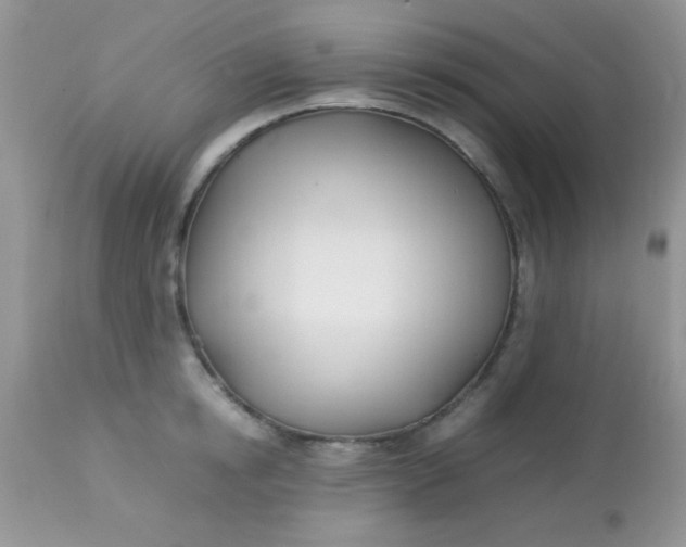 X0000113090854200909182112