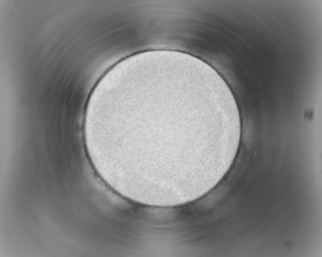 X0000113090856200909182112