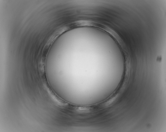 X0000113090857200909182112