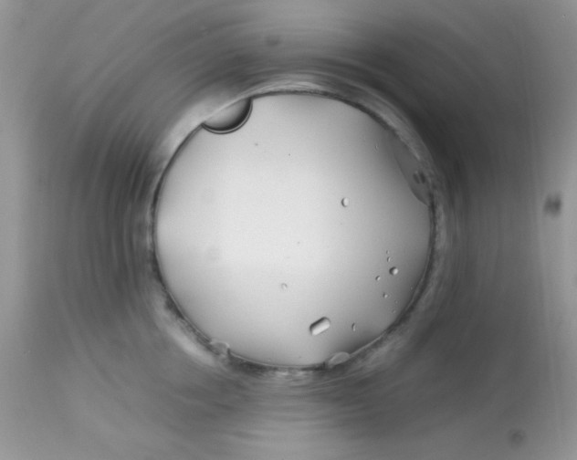 X0000113090858200909182112