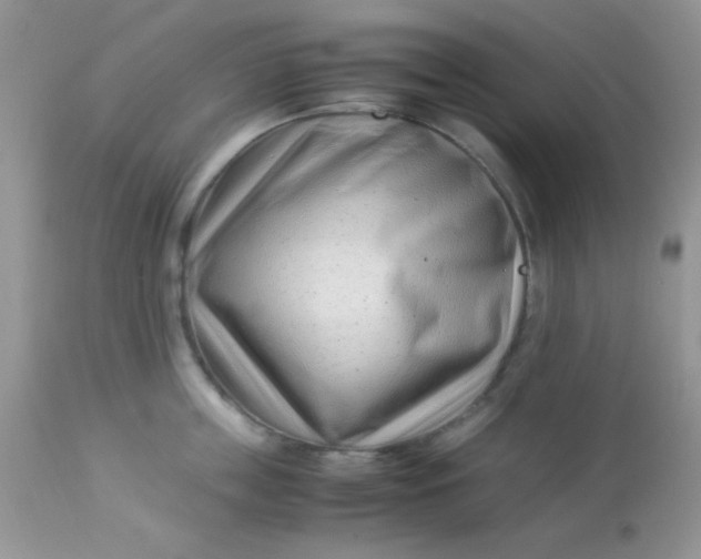 X0000113090859200909182112