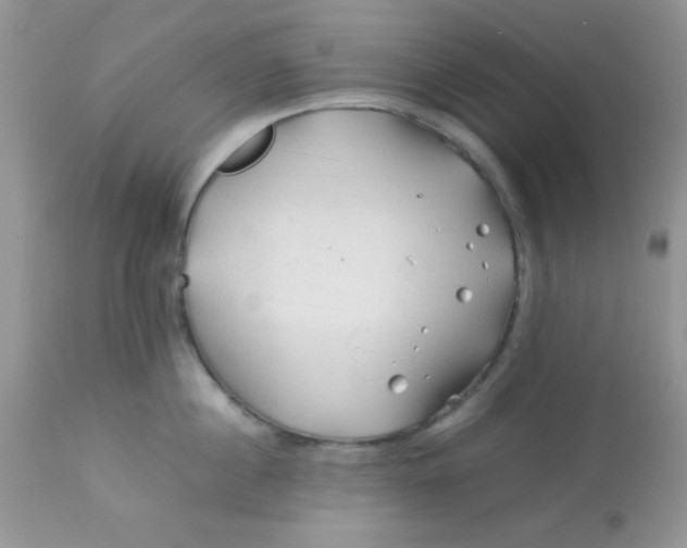 X0000113090860200909182112