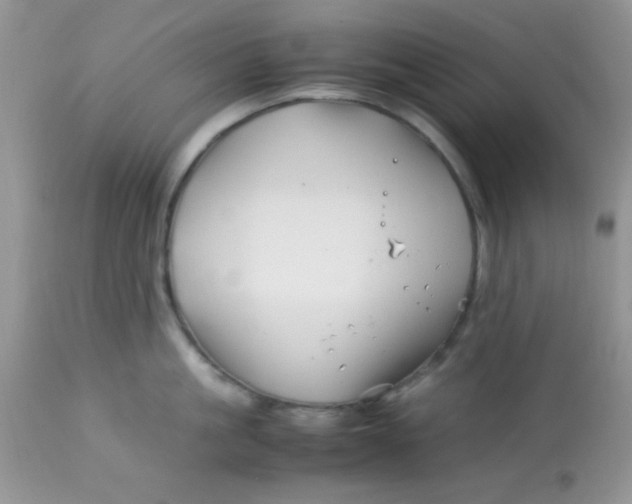 X0000113090861200909182112