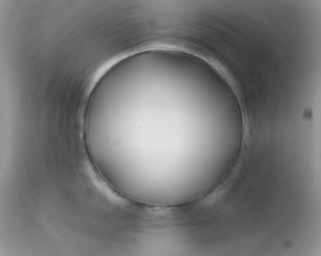 X0000113090862200909182112