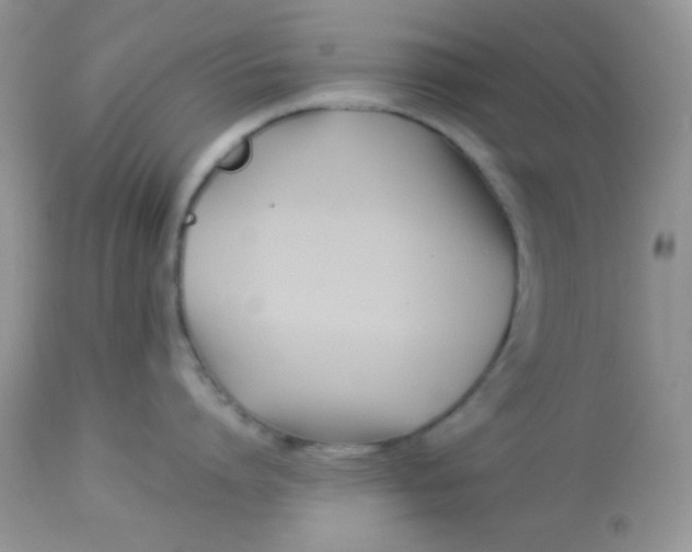 X0000113090864200909182112