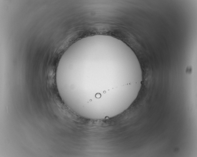 X0000113090866200909182111