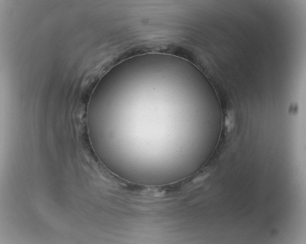 X0000113090867200909182111