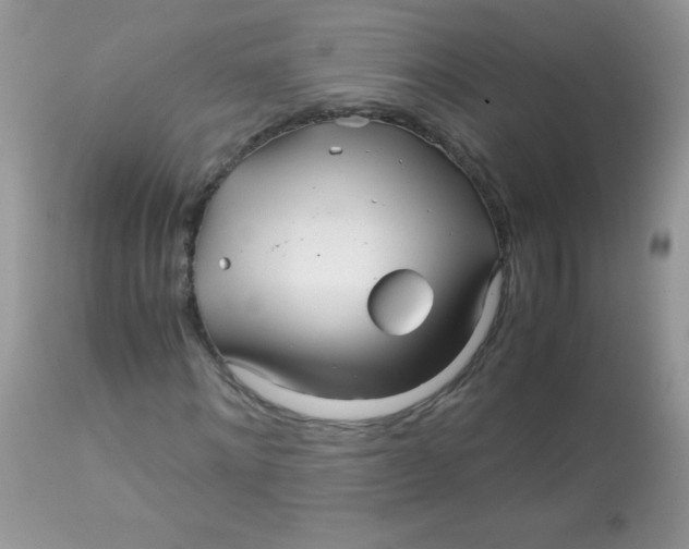 X0000113090868200909182111