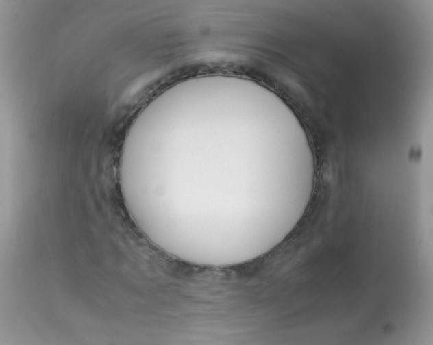 X0000113090869200909182111