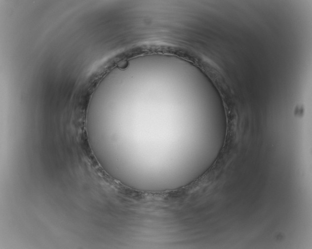 X0000113090870200909182111