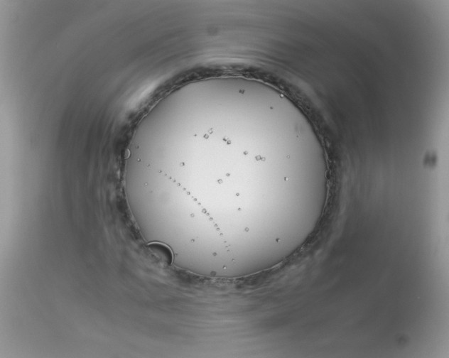 X0000113090871200909182111