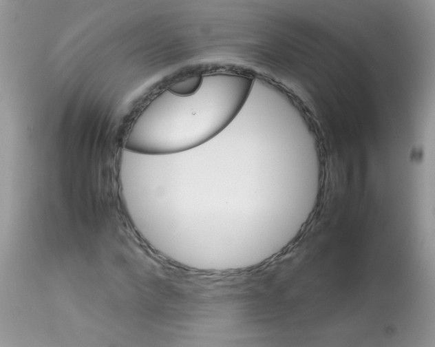 X0000113090872200909182111