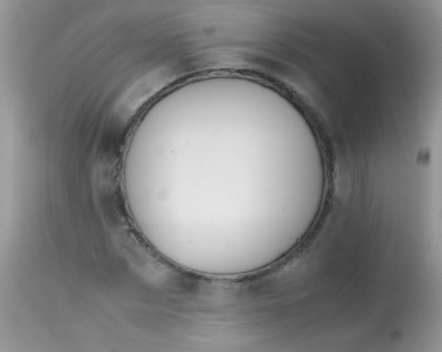 X0000113090873200909182111