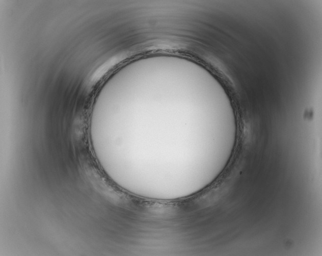 X0000113090874200909182111